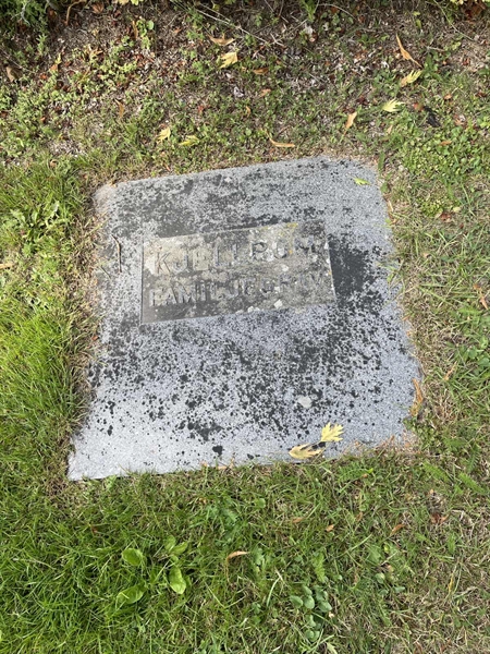 Grave number: 1 P2   273