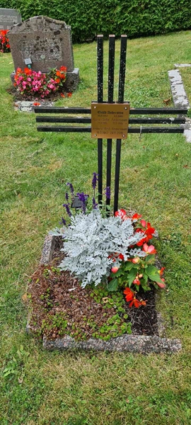 Grave number: M V  113