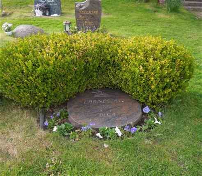 Grave number: SN U1    55
