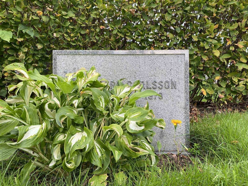 Hautatunnus: 1 19    226