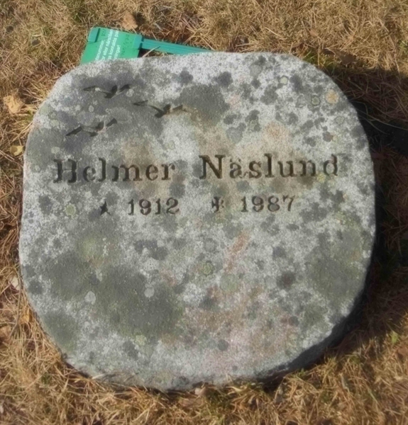 Hautatunnus: 3 01    65