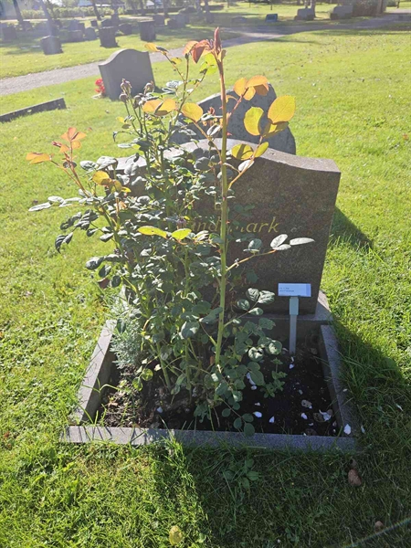 Hautatunnus: Fr 7   700