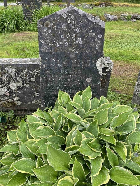 Hautatunnus: N 4 4   638