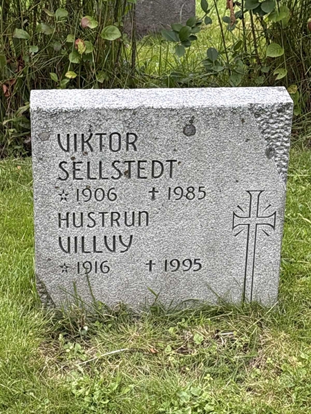Hautatunnus: IN 30    59