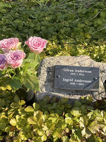 Grave number: 2 C    18