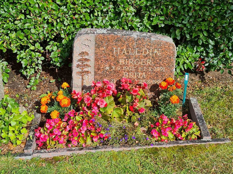 Grave number: Ö II Nu   31