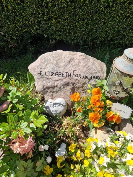 Grave number: 04 D  100