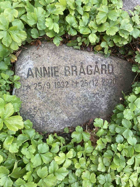 Gravnummer: MÖ G VI 25