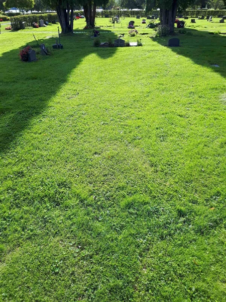 Gravnummer: NK A A   417