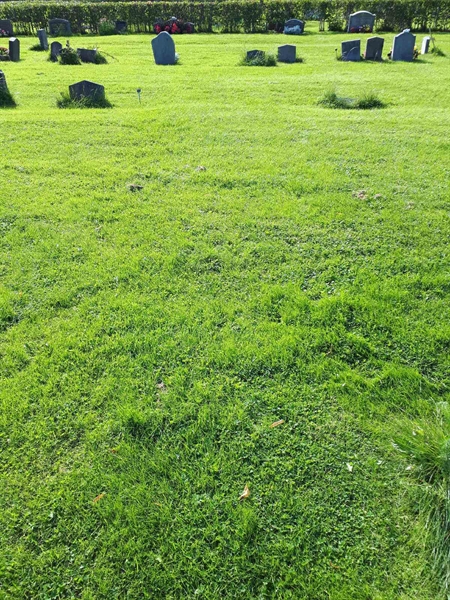 Gravnummer: NK A A   335