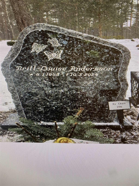 Hautatunnus: 2 E   296