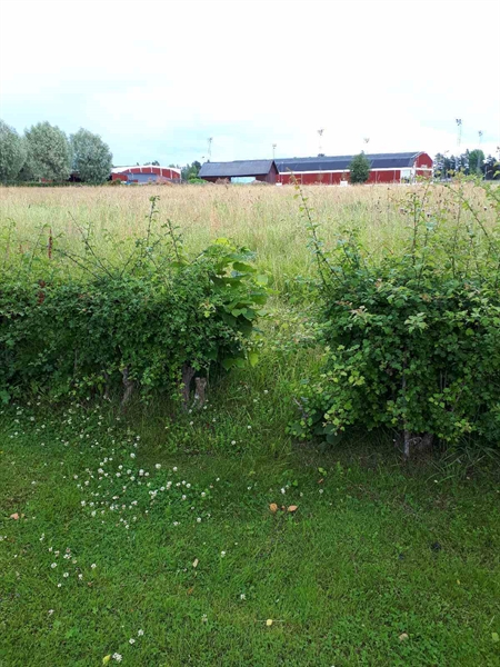 Gravnummer: GK F 5   496