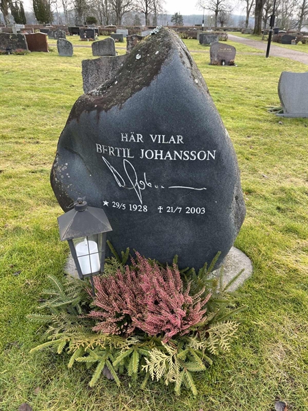Grave number: Ärt 96 36 3