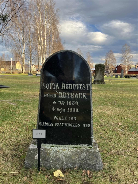 Hautatunnus: 2 A     5