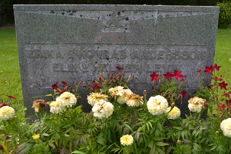 Grave number: 2 D   417