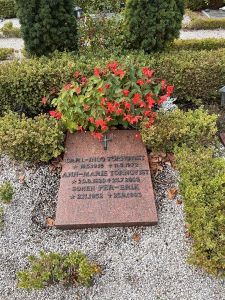 Gravnummer: VK I:u    46