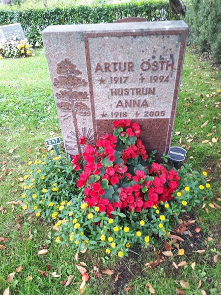 Hautatunnus: NK F D    67