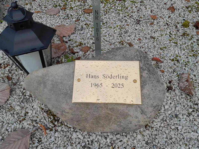 Grave number: 3 5  1816