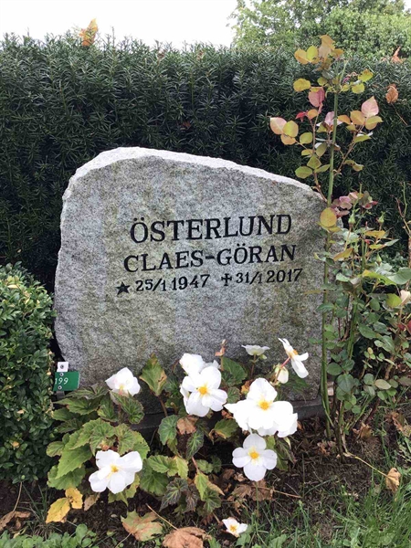 Hautatunnus: Kaga ny   199