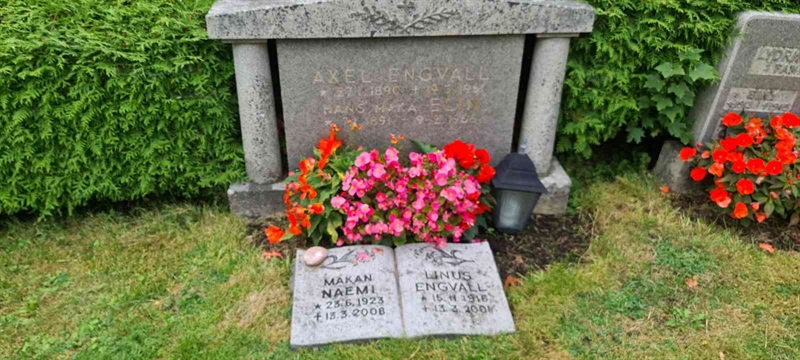 Grave number: M V   73a