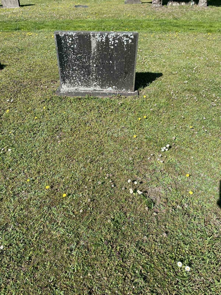 Hautatunnus: EK E 1 77