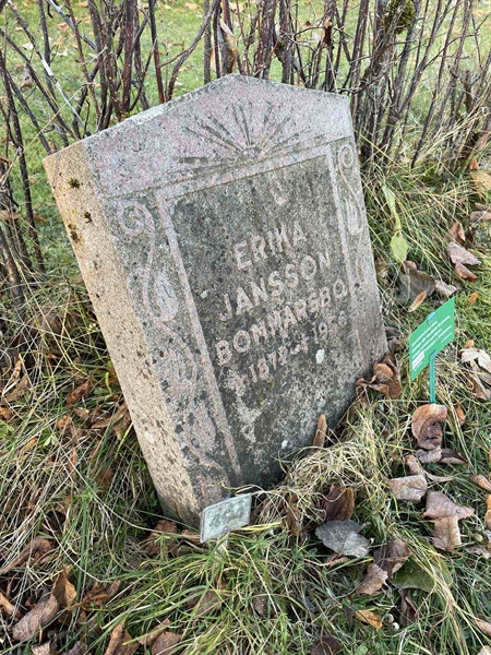 Gravnummer: GK A 3   495