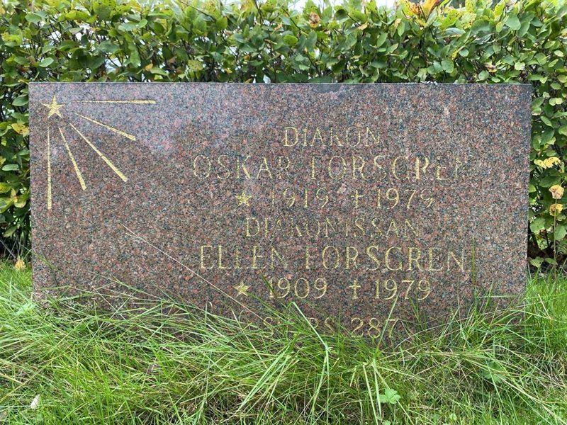 Hautatunnus: 1 19    209, 210