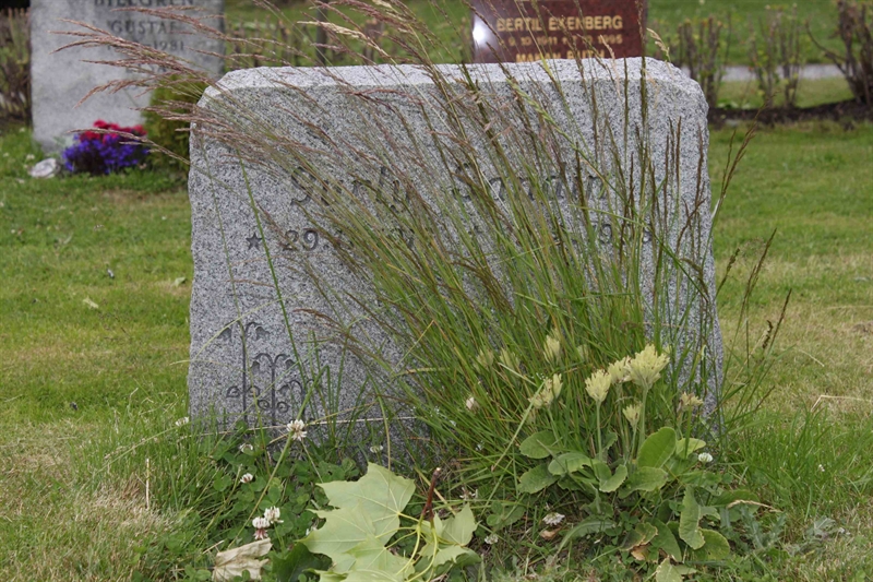 Grave number: GK MAGDA    73