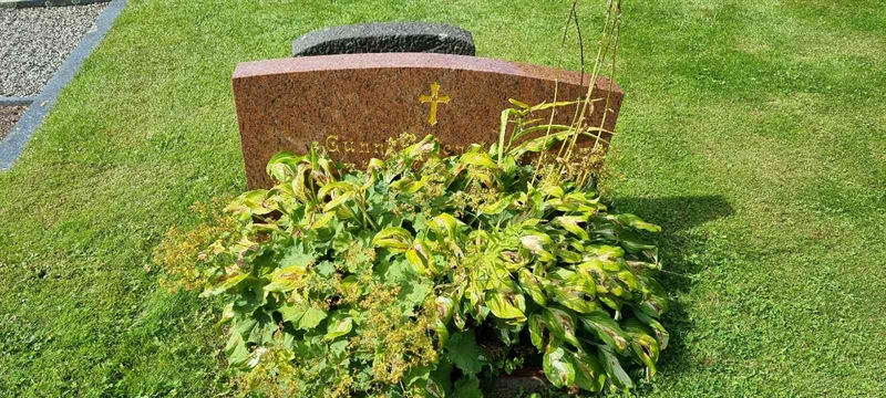 Grave number: LM 3 50  012