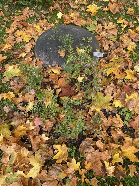 Hautatunnus: 1 H   270