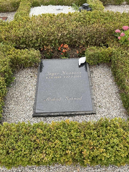 Grave number: VK III:u    50
