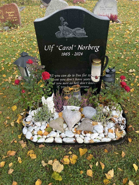 Gravnummer: 1 01   236