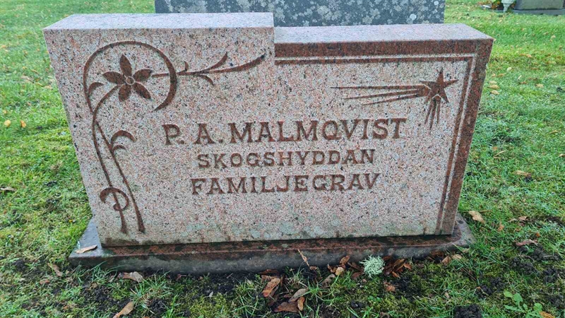 Grave number: M G 13 54-55