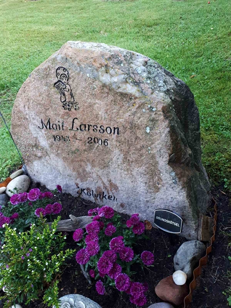 Hautatunnus: NK F D   480