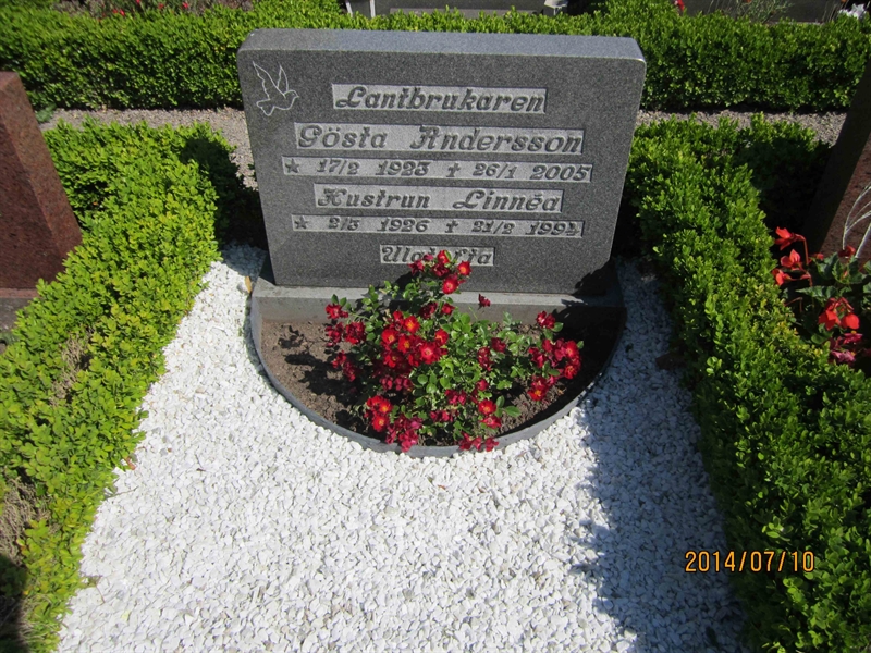 Grave number: 8 R    21
