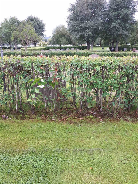 Gravnummer: NK F A   185