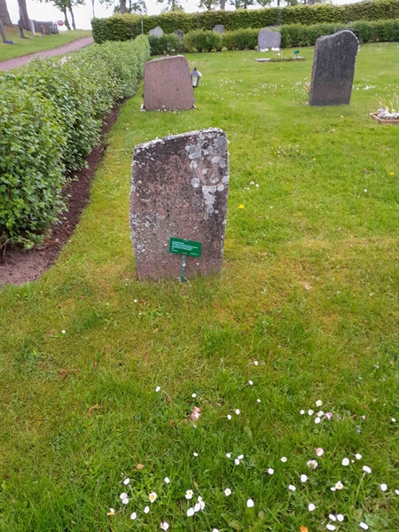 Gravnummer: ROG G  137