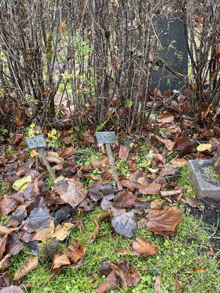 Gravnummer: GK A 3   455