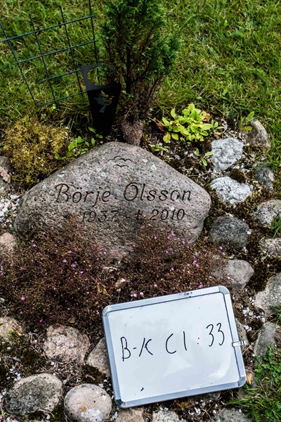 Hautatunnus: Bkl I C 33