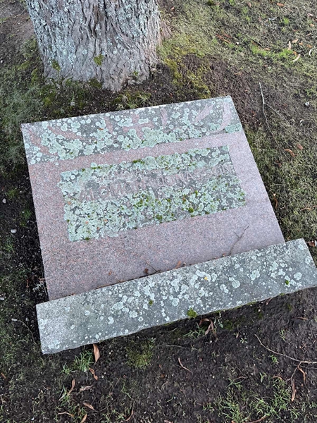Hautatunnus: Vårv Kv4 61