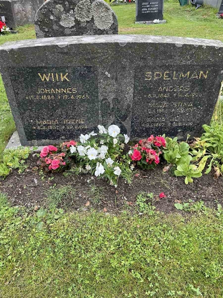 Grave number: N 4 4   507