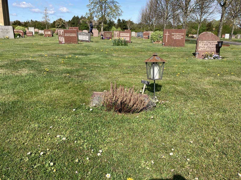 Grave number: R 01 528, 529
