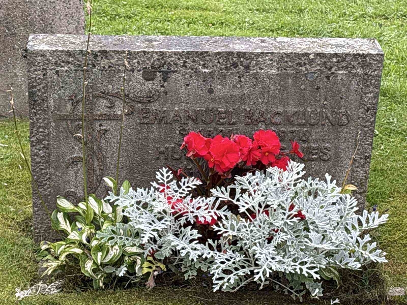 Grave number: IN 32    30-31