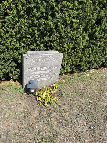 Grave number: NK I:u    48