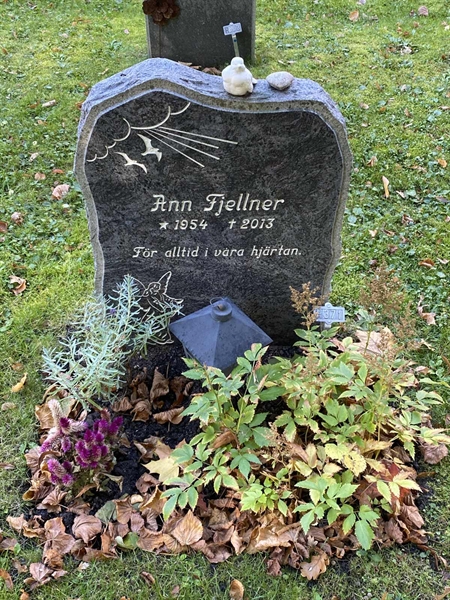 Hautatunnus: 1 H   371