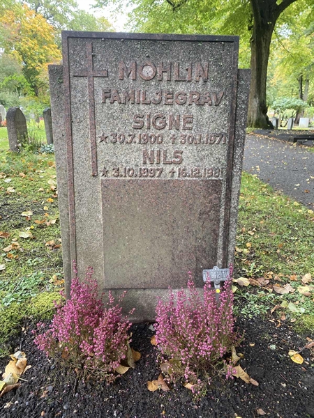 Hautatunnus: 1 H    21