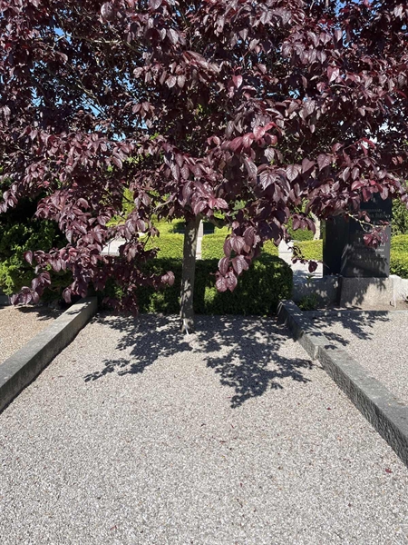 Grave number: NK III    67