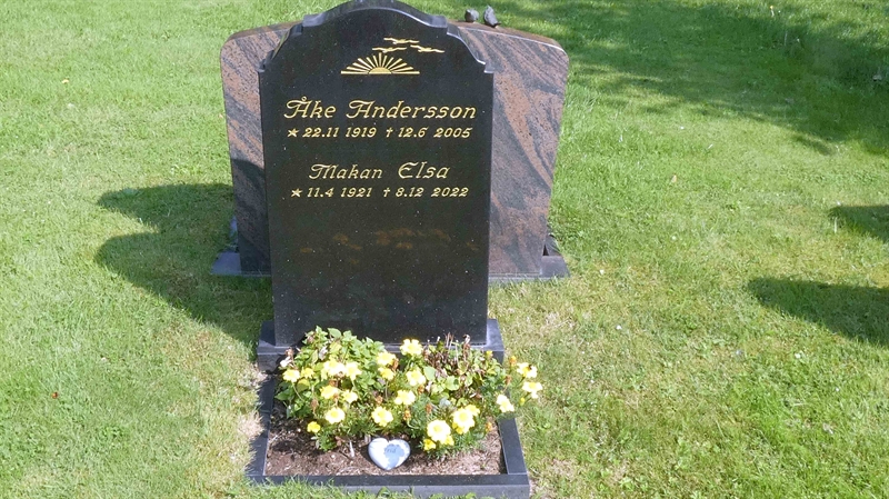 Grave number: SN L 81-82
