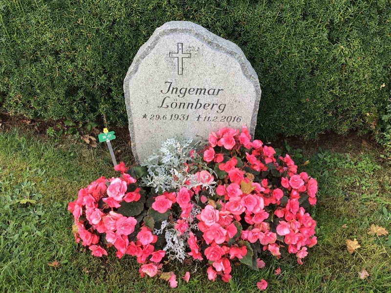 Hautatunnus: Kaga ny    27-28