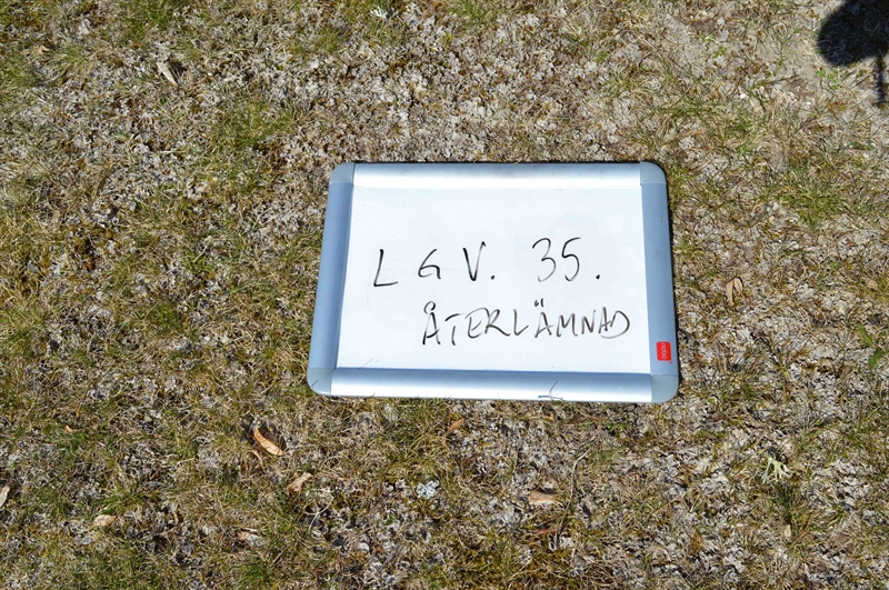 Grave number: LG V    35